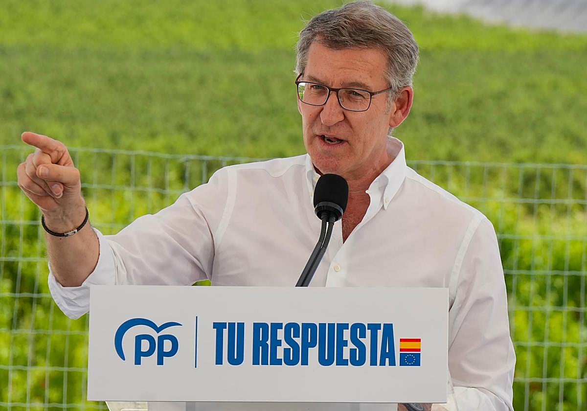Alberto Núñez Feijóo, durante su intervención en Cieza (Región de Murcia)