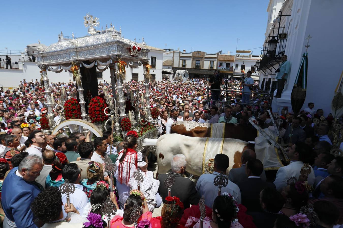 Presentación de la hermandad de Coria ante la Virgen del Rocío