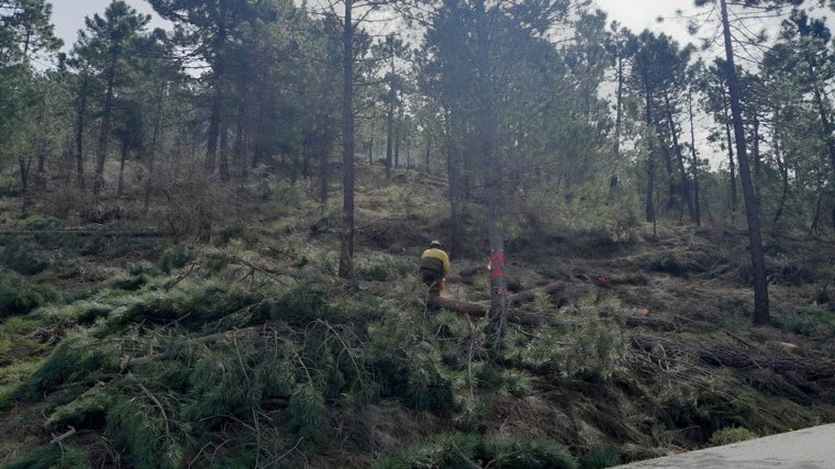 Castilla-La Mancha se conjura contra el riesgo de incendios forestales