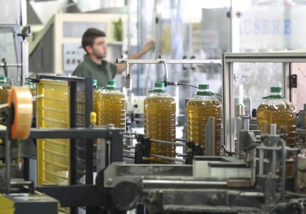 Lineal de envasado de aceite en una cooperativa del marco de Priego de Córdoba