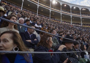 De toros, por variar