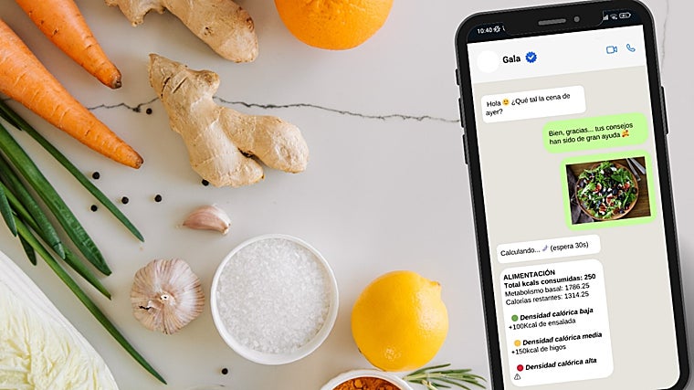 Muestra de la inteligencia artificial que calcula las calorías a base de una foto