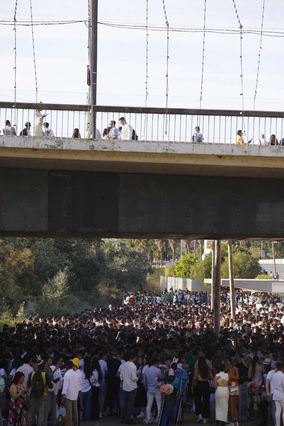 Fotos: diez mil jóvenes, en el botellón de la Feria de Córdoba
