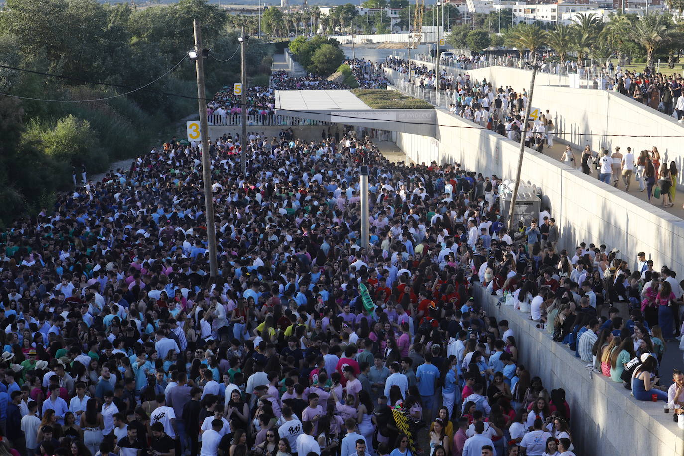 Fotos: diez mil jóvenes, en el botellón de la Feria de Córdoba