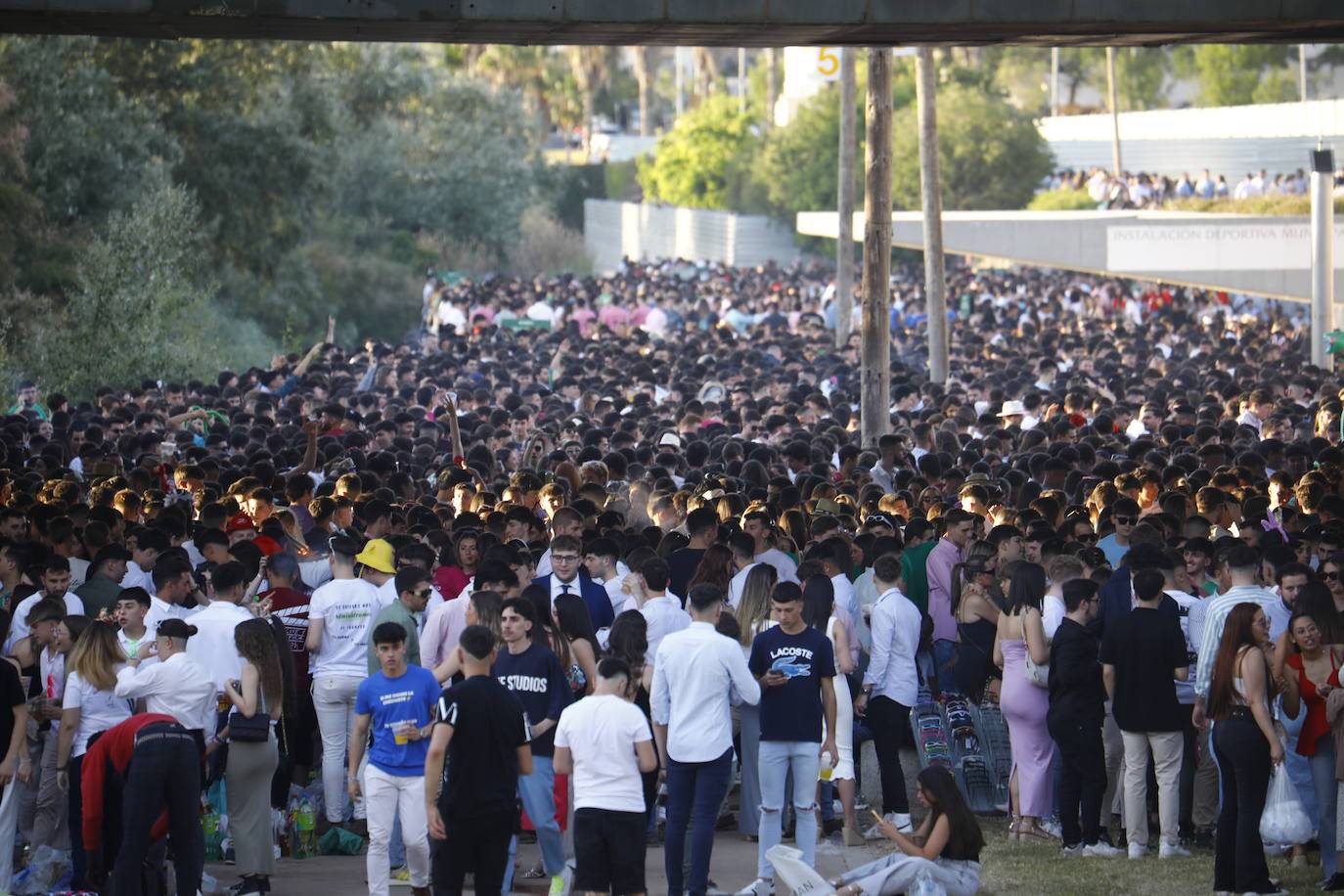 Fotos: diez mil jóvenes, en el botellón de la Feria de Córdoba