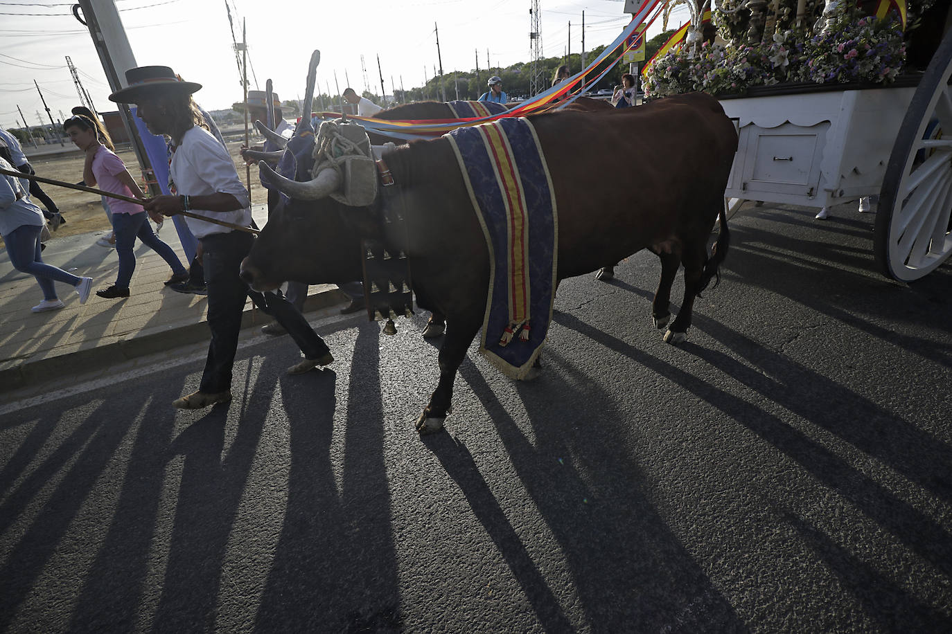 Llegada de la Hermandad Castrense del Rocío a Sevilla