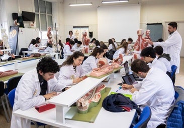 La Universidad de Salamanca, en el 'top 10' de las mejores para estudiar Medicina