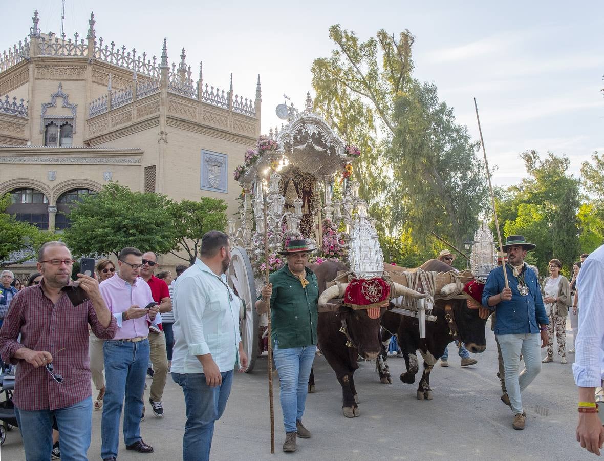 La hermandad del Rocío de Sevilla Sur durante su llegada a Sevilla