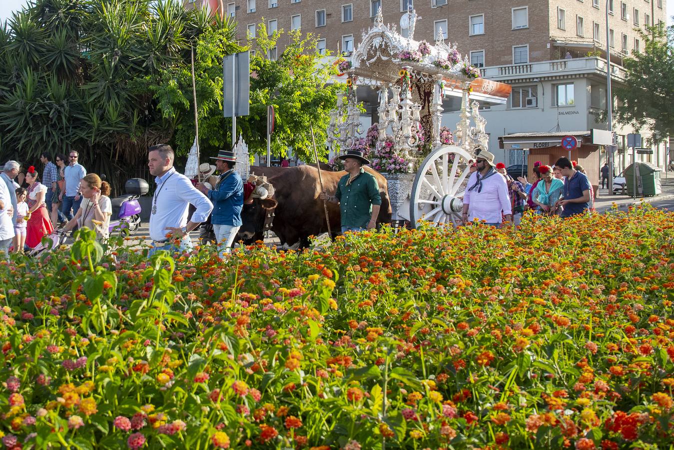 La hermandad del Rocío de Sevilla Sur durante su llegada a Sevilla