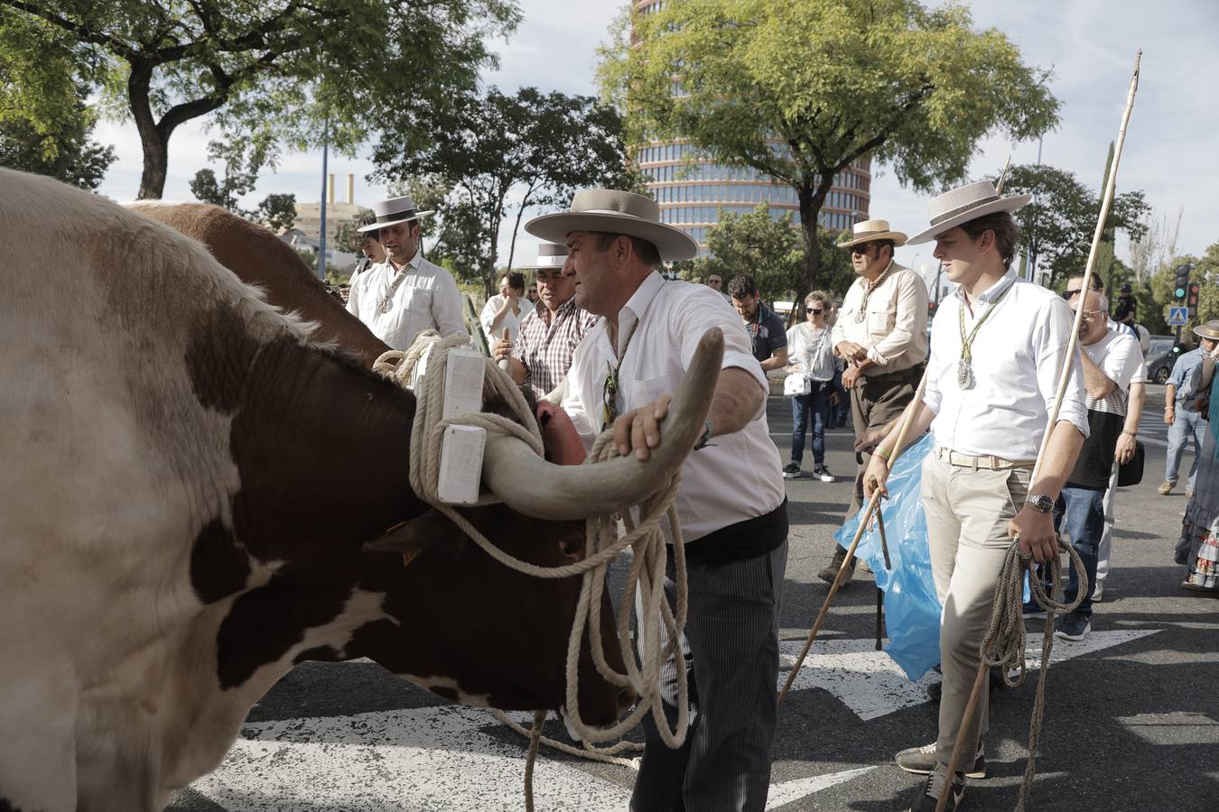 La primera parada de la hermandad de la Macarena cuando entra en Sevilla es en la Basílica del Cachorro