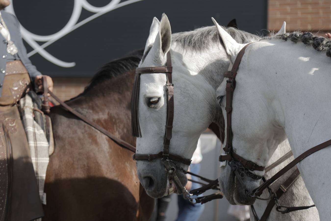La primera parada de la hermandad de la Macarena cuando entra en Sevilla es en la Basílica del Cachorro
