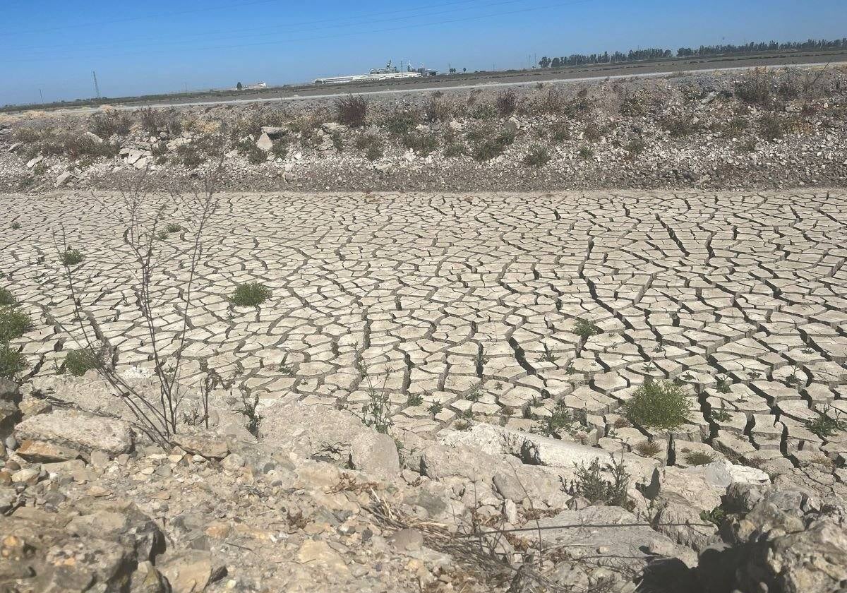 UPA emite «un grito de alarma» por la sequía que atraviesa el sur de Albacete y exige medidas «inmediatas»