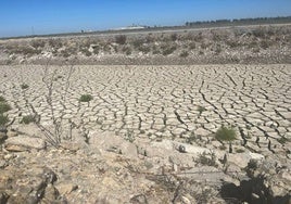 UPA emite «un grito de alarma» por la sequía que atraviesa el sur de Albacete y exige medidas «inmediatas»