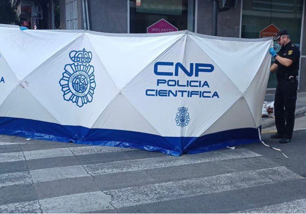 Agentes de la Policía Nacional, en el lugar donde se ha producido el apuñalamiento este viernes en Valencia.