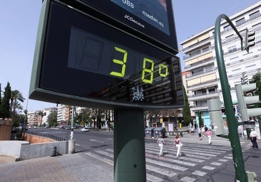 Un estudio sitúa a Córdoba como la provincia andaluza donde el calor extremo deja peores secuelas