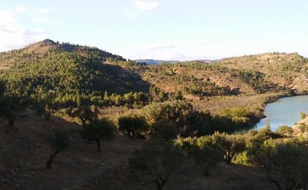 Imagen principal - El pueblo de Valencia que vio nacer a Pablo Motos: está cerca de un volcán y tiene un casco antiguo lleno de cuevas