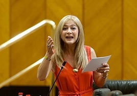 La Junta asegura que no suprime líneas educativas por ahorro, sino para «invertir y proteger» el sistema ante la bajada de la natalidad en Andalucía