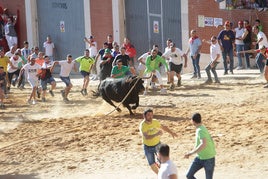 Así fue el Toro Enmaromado de 2024 de Benavente: 58 minutos y menos recorrido