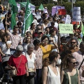 Protestas en seis capitales andaluzas en defensa de la sanidad y la educación pública