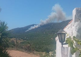 Declarado un incendio forestal en el paraje de La Peña de Tarifa