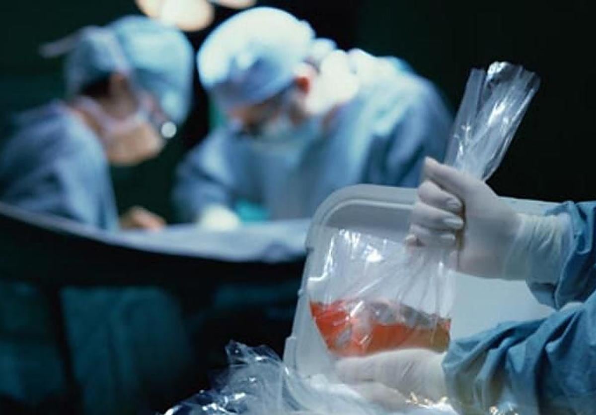 El Hospital Reina Sofía de Córdoba realiza 9.800 trasplantes de órganos y tejidos en 45 años de historia