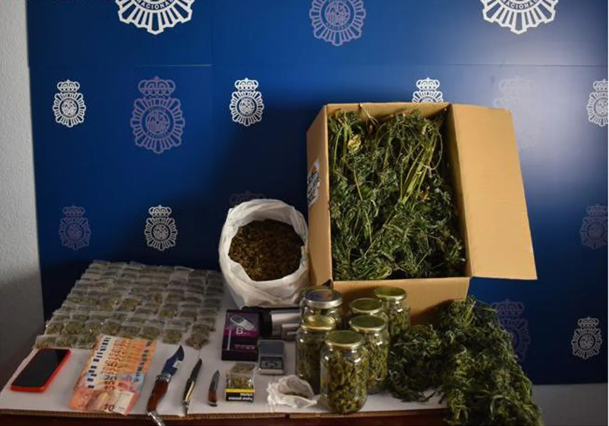 Desmantelan una vivienda okupada en Tomelloso, centro de producción y venta de marihuana