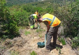 Proyecto pionero en La Almoraima: tecnología con patente en el monte para combatir la sequía