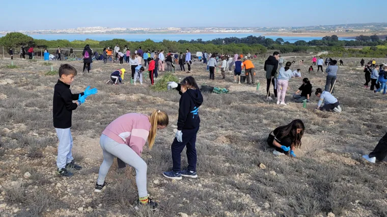 Niños y jóvenes participación en la plantación extrema en el parque natural de La Mata en Torrevieja.