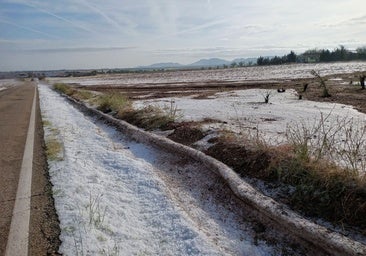 Una tormenta de granizo arrasa 200 hectáreas de cultivo en Manzaneque