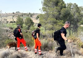 Dos semanas sin rastro de Paquita: un perro especializado busca a la anciana con alzhéimer desaparecida en Valencia