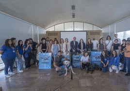 La campaña «Tortugas en el Mediterráneo 2024» estará presente en 80 municipios