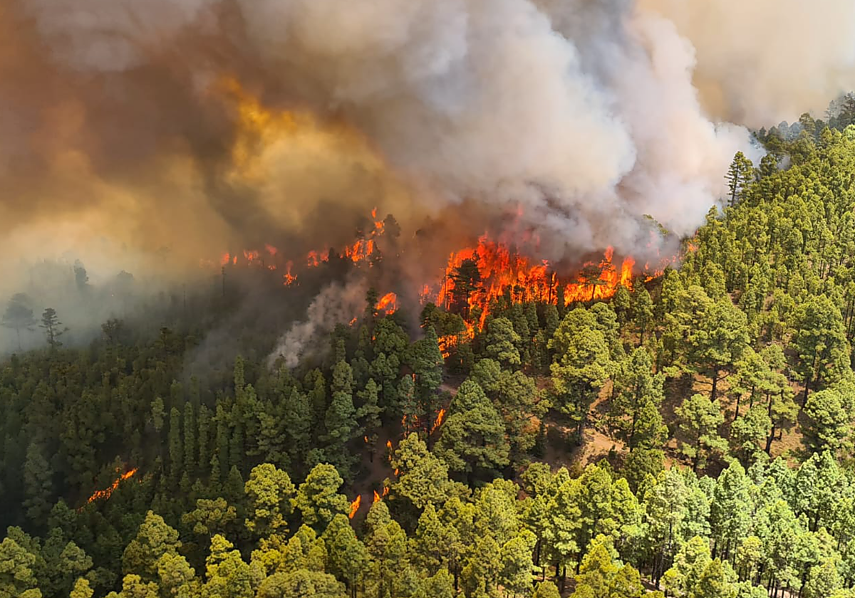 Primeras horas del incendio forestal declarado een Los Realejos (Tenerife) en 2022