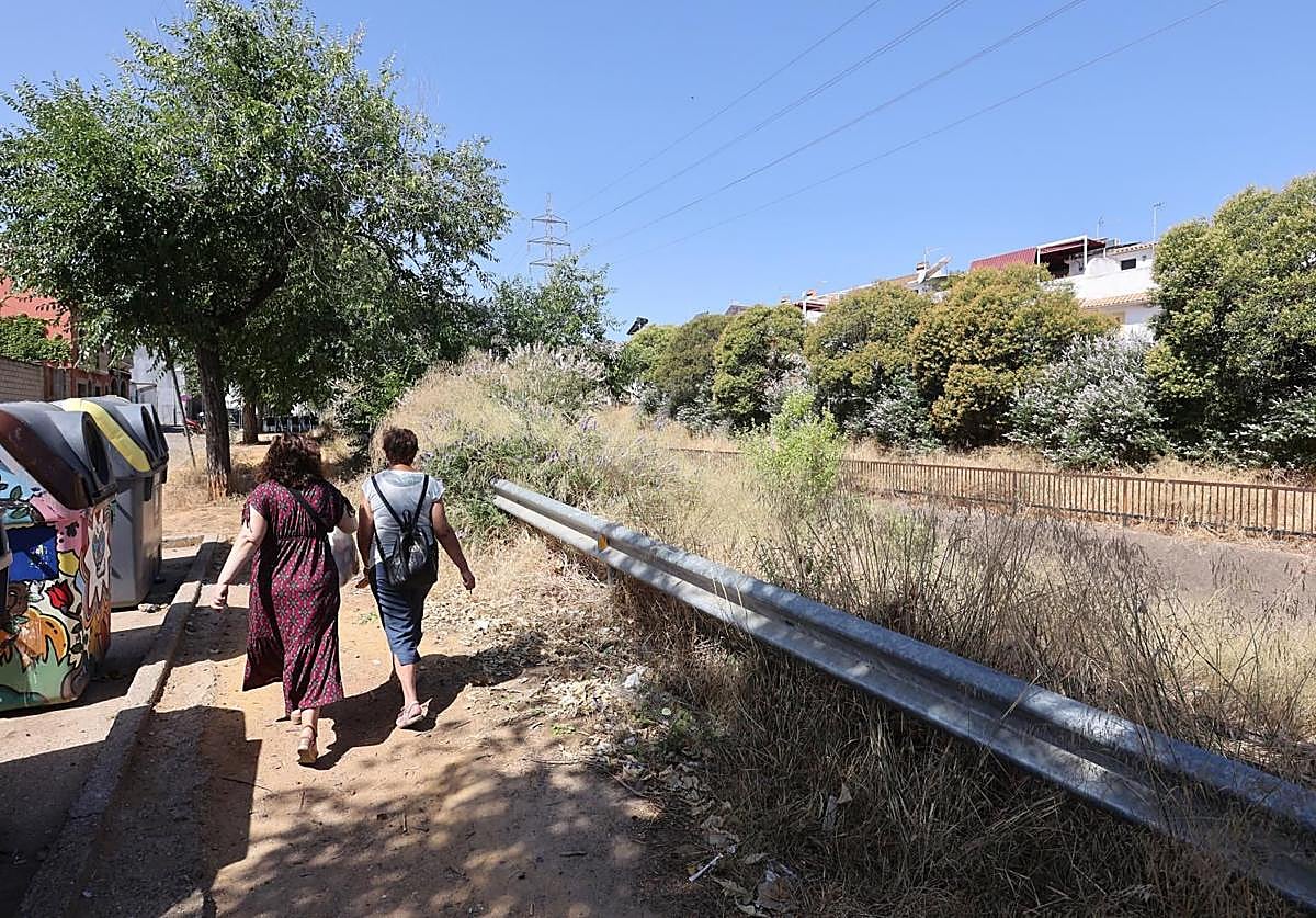 Maleza descontrolada en el canal a su paso por el barrio de San Rafael de la Albaida; en el vídeo, una rata en el patio de una vivienda