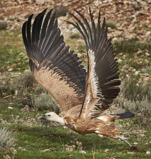 Las mejores imágenes del mágico Geoparque de las Sierras Subbéticas de Córdoba