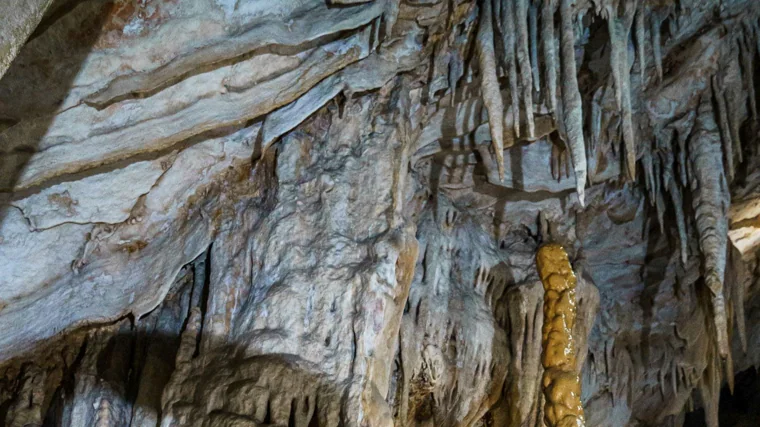 La Cueva de los Murciélagos