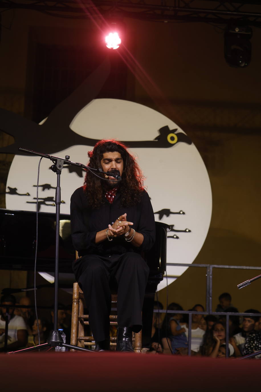Las mejores imágenes de los conciertos de la Noche Blanca del Flamenco de Córdoba