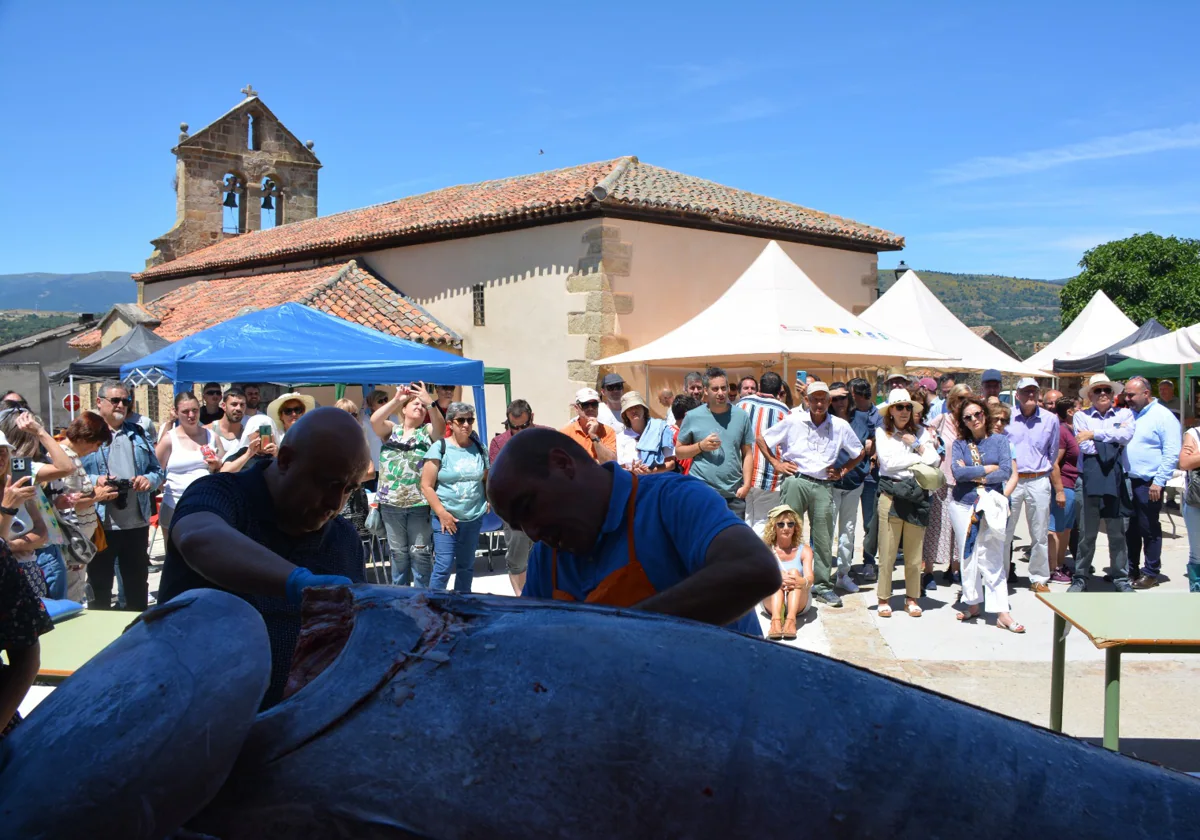 Proceso del corte del atún en el enclave de Madarcos