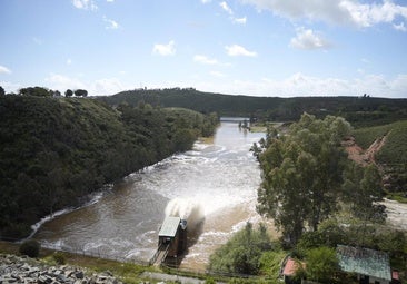 Los embalses de la cuenca del Guadalquivir ya se encuentran al 43,7% de su capacidad tras un mes y medio de déficit hídrico