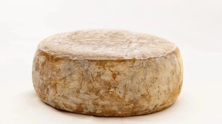 Las cabras de los Montes de Toledo con cuya leche se elabora el mejor queso curado de esta variedad en España