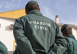 Detienen al presunto autor de dos disparos que acabaron con un hombre en el pueblo granadino de Alhendín