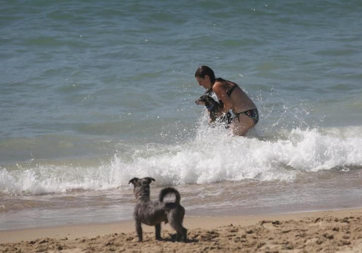 Una chica, bañándose con su perro en una playa de Barcelona