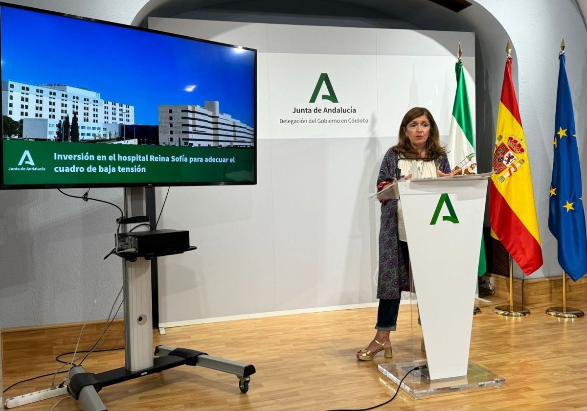 María Jesús Botella, delegada de Salud, durante su comparecencia