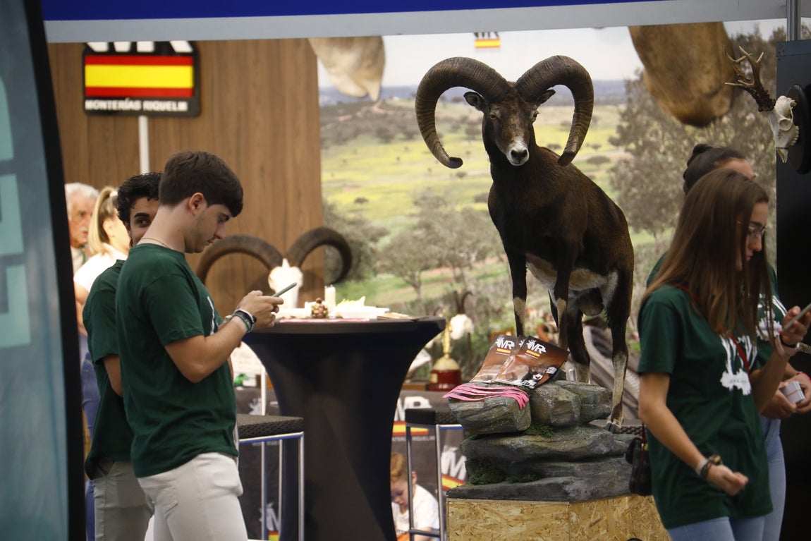 Las imágenes de Intercaza en su nueva ubicación del Centro de Ferias y Convenciones de Córdoba