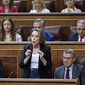 El PP advierte de que las acusaciones a Puigdemont «no son amnistiables»