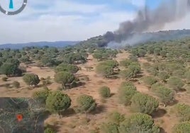 Controlado el incendio forestal en Villaviciosa de Córdoba