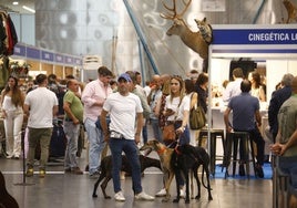 Intercaza sigue en su historia de éxito en el Centro de Ferias de Córdoba