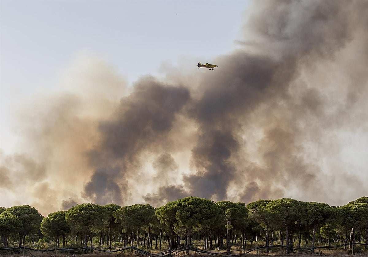Incendio en doñana en 2017
