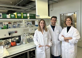 Prueban con éxito el primer tratamiento español que usa virus contra bacterias multirresistentes