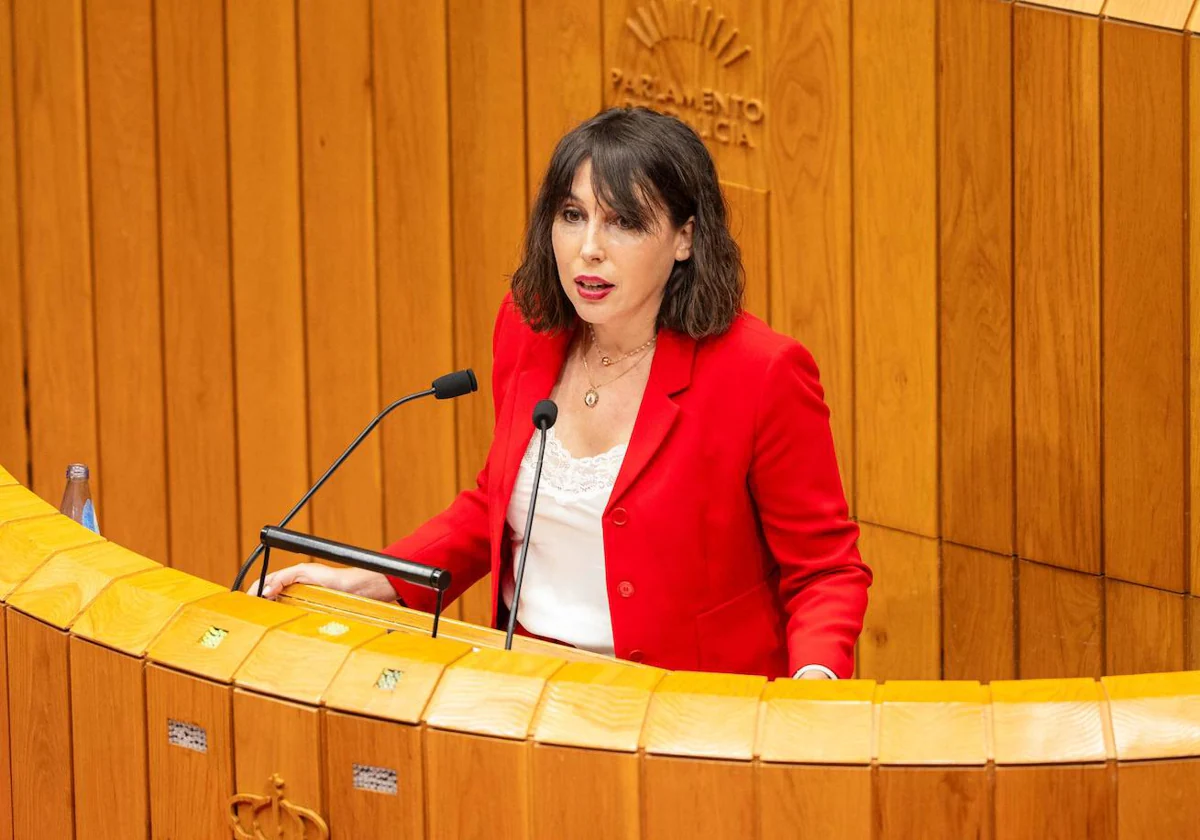 María Jesús Lorenzana este martes en el Parlamento