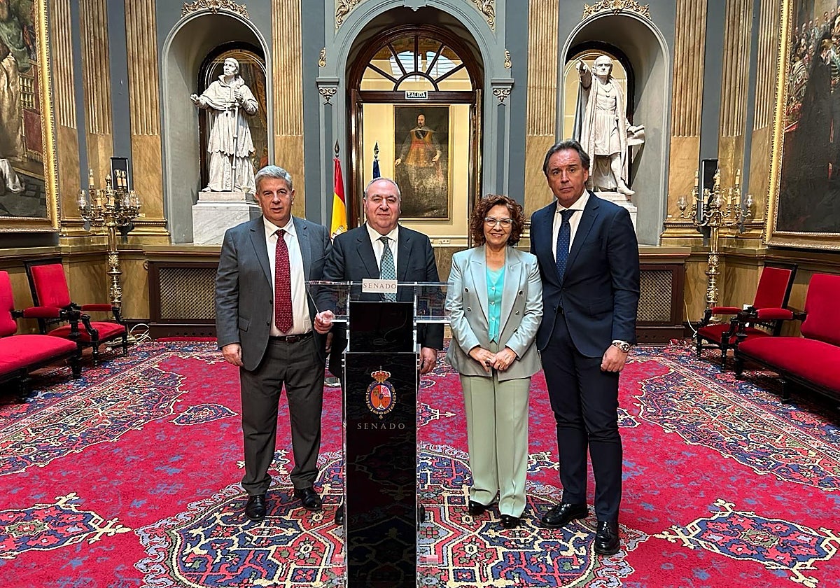 Miguel Ángel De la Rosa,  Vicente Tirado, Carmen Riolobos y Israel Pérez, en el Senado